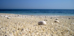 La Spiaggia di San Michele a Sirolo