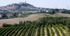 camerano